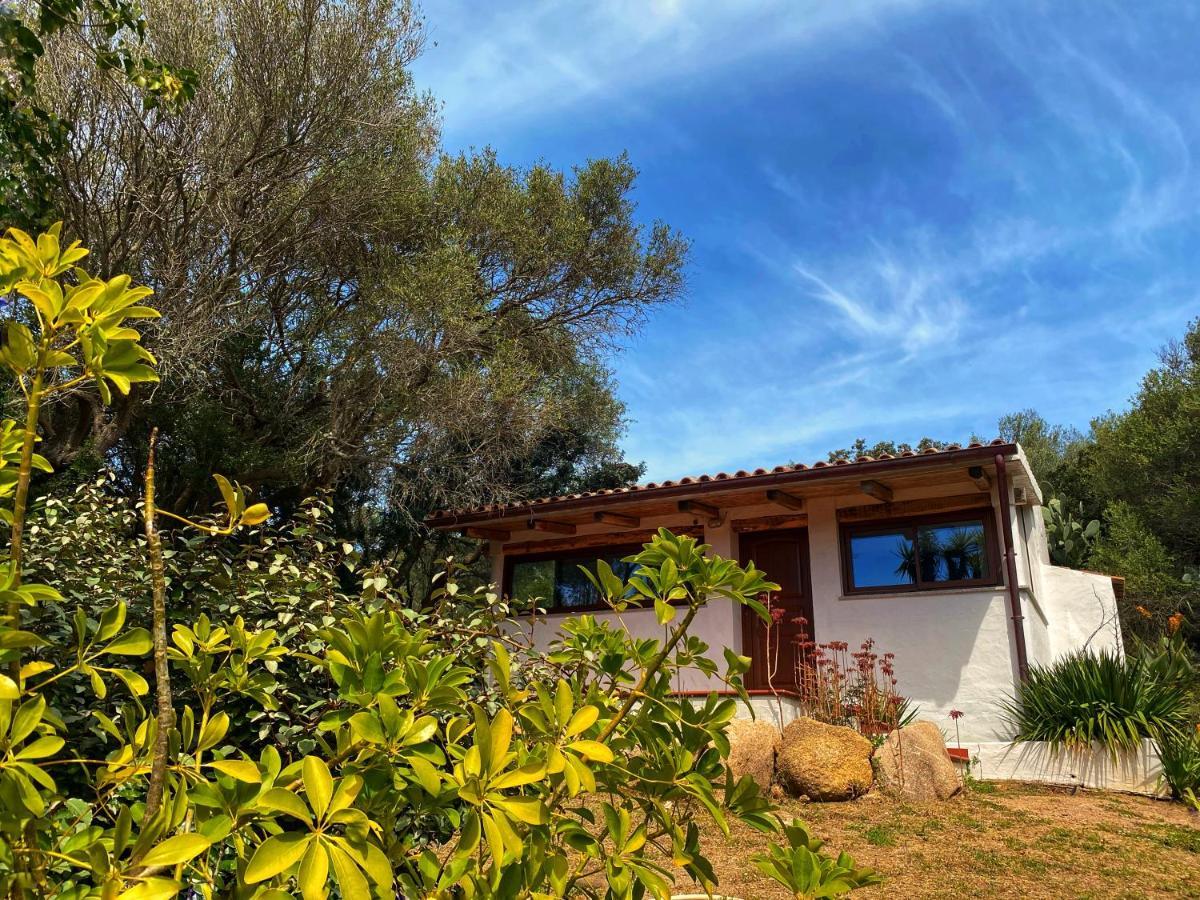 Casa Saltara (Adults Only) Villa Санта Тереза Галура Екстериор снимка